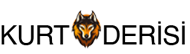Kurt Derisi