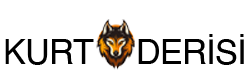 Kurt Derisi
